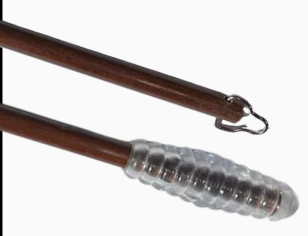 Teak
